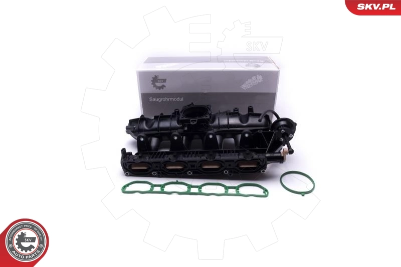 Intake Manifold Module